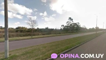 MyM Mayorista - 20000 Maldonado