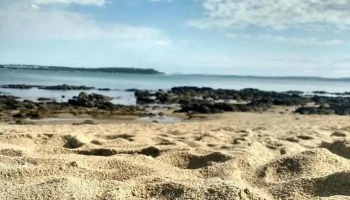 Nana Lavagna Propiedades - Punta Del Este