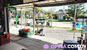 Nexus - Wilson Ferreira Aldunate