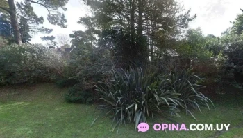 no me ulvides - Punta Del Este no me ulvides - Punta Del Este