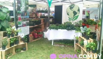 Nuestro Ecolugar - 91200 San Bautista