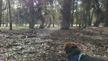 nuevo telurio - Ciudad De La Costa nuevo telurio - Ciudad De La Costa