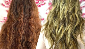 Nympeluqueria - Departamento De Maldonado Nympeluqueria - Departamento De Maldonado