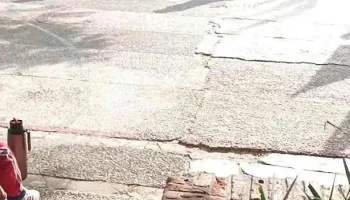 N° 81 - Mahatma Gandhi - Montevideo