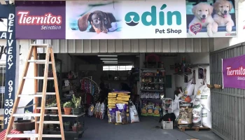 Odín Pet Shop - 20400 San Carlos Odín Pet Shop - 20400 San Carlos