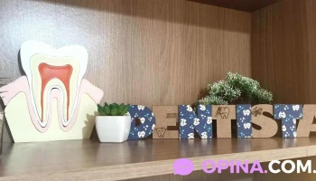 Odontologa/ Dentista Dra Camila Laxalte - Chuy