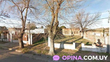 Omnilife Paysandú - 60000 Paysandú