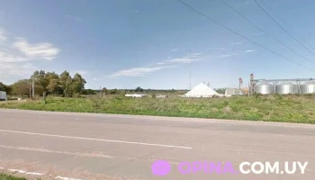 Ontemar (Frigofrut) - 70700 Nueva Palmira