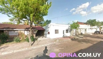 Optica muñoz - Young