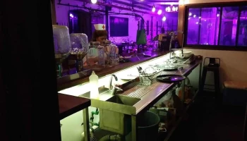 Orejano - Montevideo Orejano - Montevideo