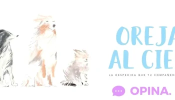 Orejas al Cielo - Uruguay