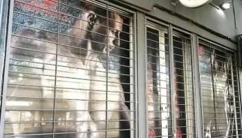 Oxigenarte - Montevideo