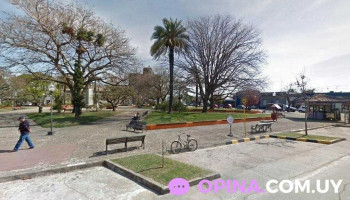 Pablo Coiffeur (28 años de experiencia) - 94000 Florida