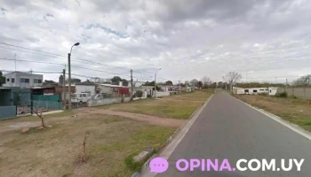 Palu - 12900 Montevideo