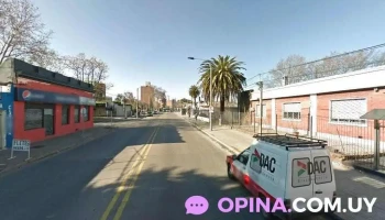 Pamer Montevideo - Montevideo