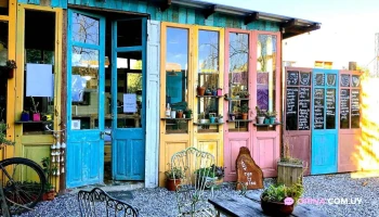 Pan y Vino Almacén de Alimentos - Pando Pan y Vino Almacén de Alimentos - Pando