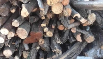 Panaderia - 27300 Lascano