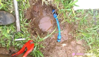 panaderia americana - Rivera panaderia americana - Rivera