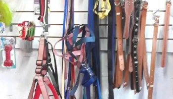 Pancitas Felices Ii Pet Shop - Flecha De Oro Pancitas Felices Ii Pet Shop - Flecha De Oro