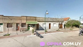 Papelería Alfa - Paso De Los Toros