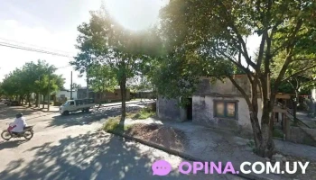 Papeleria Clips - Young