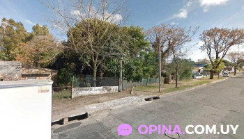 Papelería Creativa Cyn_desing - Montevideo