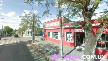 Papelería Girasoles - Rivera