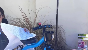 Papeleria le stylo - San Carlos