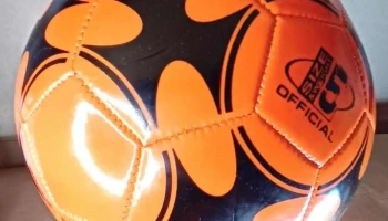 Papeleria Maya - Rivera