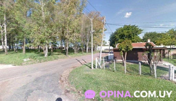 Papelería Signos - Young