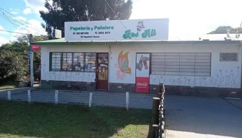 Papeleria Y Pañalera Ros-ali - Ciudad De La Costa Papeleria Y Pañalera Ros-ali - Ciudad De La Costa