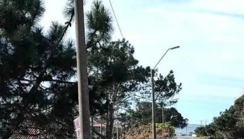 Parada 8 - La Paloma Parada 8 - La Paloma