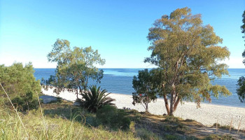 Parador Chico - Departamento De San José