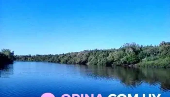 Parque Batlle - Tacuarembó Parque Batlle - Tacuarembó