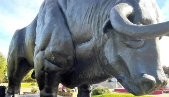 Paso de los toros - Paso De Los Toros Paso de los toros - Paso De Los Toros