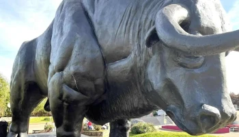 Paso de los toros - Paso De Los Toros