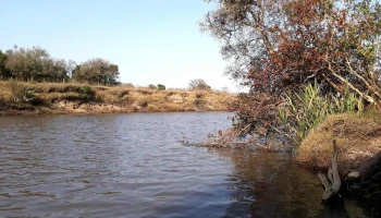 Paso de piriz - Vergara