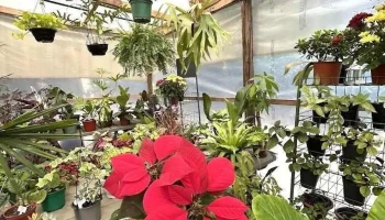 Patio Almacén de Plantas - Las Toscas