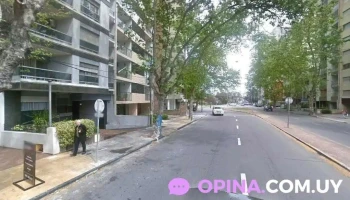 Patricia Quartino Negocios Inmobiliarios - Montevideo