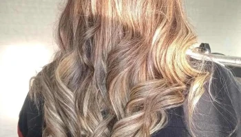 Patricia Rocha peluquería - 85000 Flores Patricia Rocha peluquería - 85000 Flores