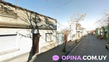 Payasin jardín - San José De Mayo