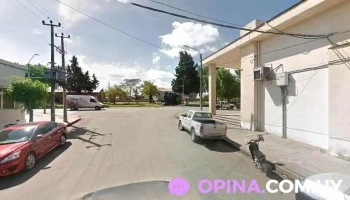 Pedra Papeleria - Young