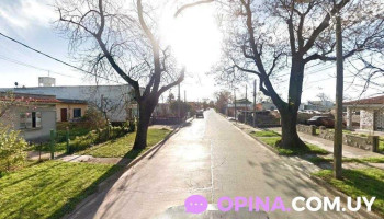 Pela Beer - 12900 Montevideo