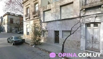 Pelo Duro - 11800 Montevideo