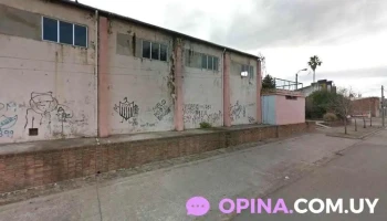 peluqueria braulio - 37000 Melo