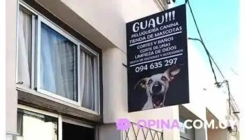Peluqueria Canina Guau - 80000 San José De Mayo