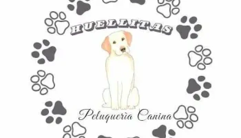 Peluquería Canina Huellitas - Uruguay Peluquería Canina Huellitas - Uruguay