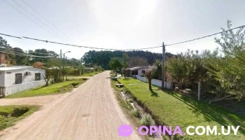 Peluquería canina Nuris - 27400 Puerto La Paloma