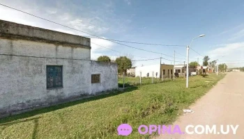 Peluqueria Canina Santa Paula - Jose Enrique Rodo