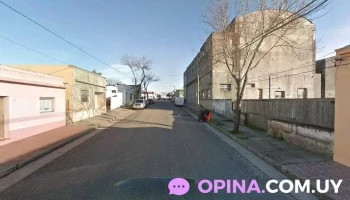 Peluquería Centro Estético - Treinta Y Tres